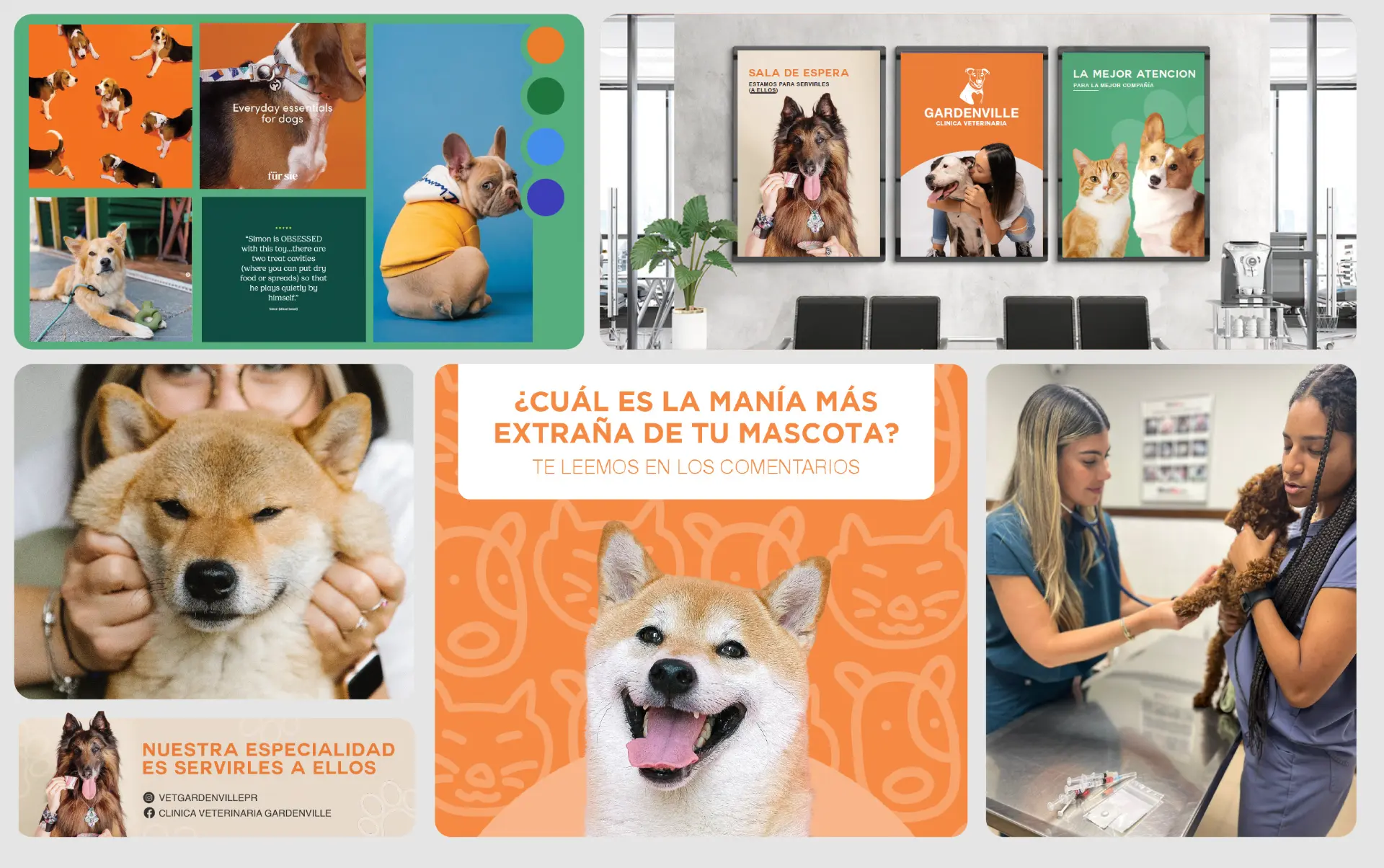 Clínica Veterinaria Gardenville — Branding & Social Media Veterinario project by BrandLab Strategies